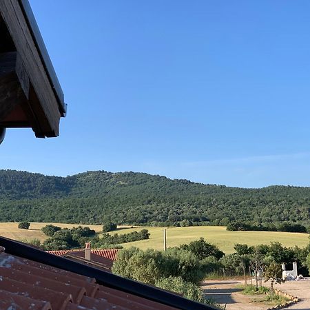 Il Poggio Di Musignano Villa Musignano  Dış mekan fotoğraf