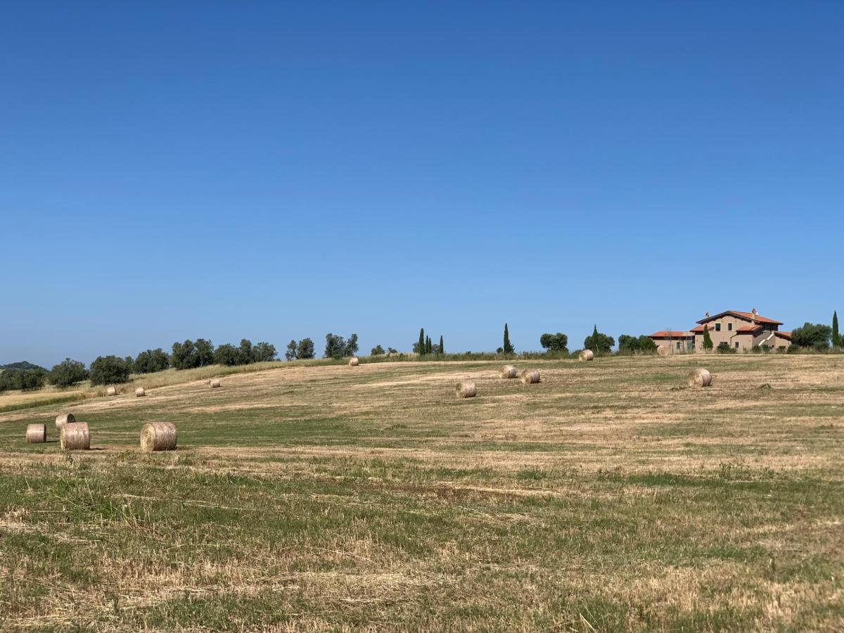 Il Poggio Di Musignano Villa Musignano  Dış mekan fotoğraf