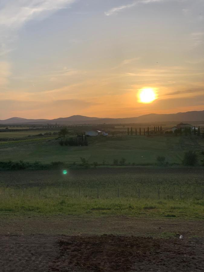 Il Poggio Di Musignano Villa Musignano  Dış mekan fotoğraf