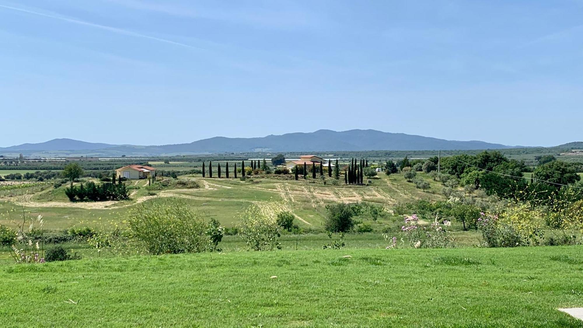 Il Poggio Di Musignano Villa Musignano  Dış mekan fotoğraf