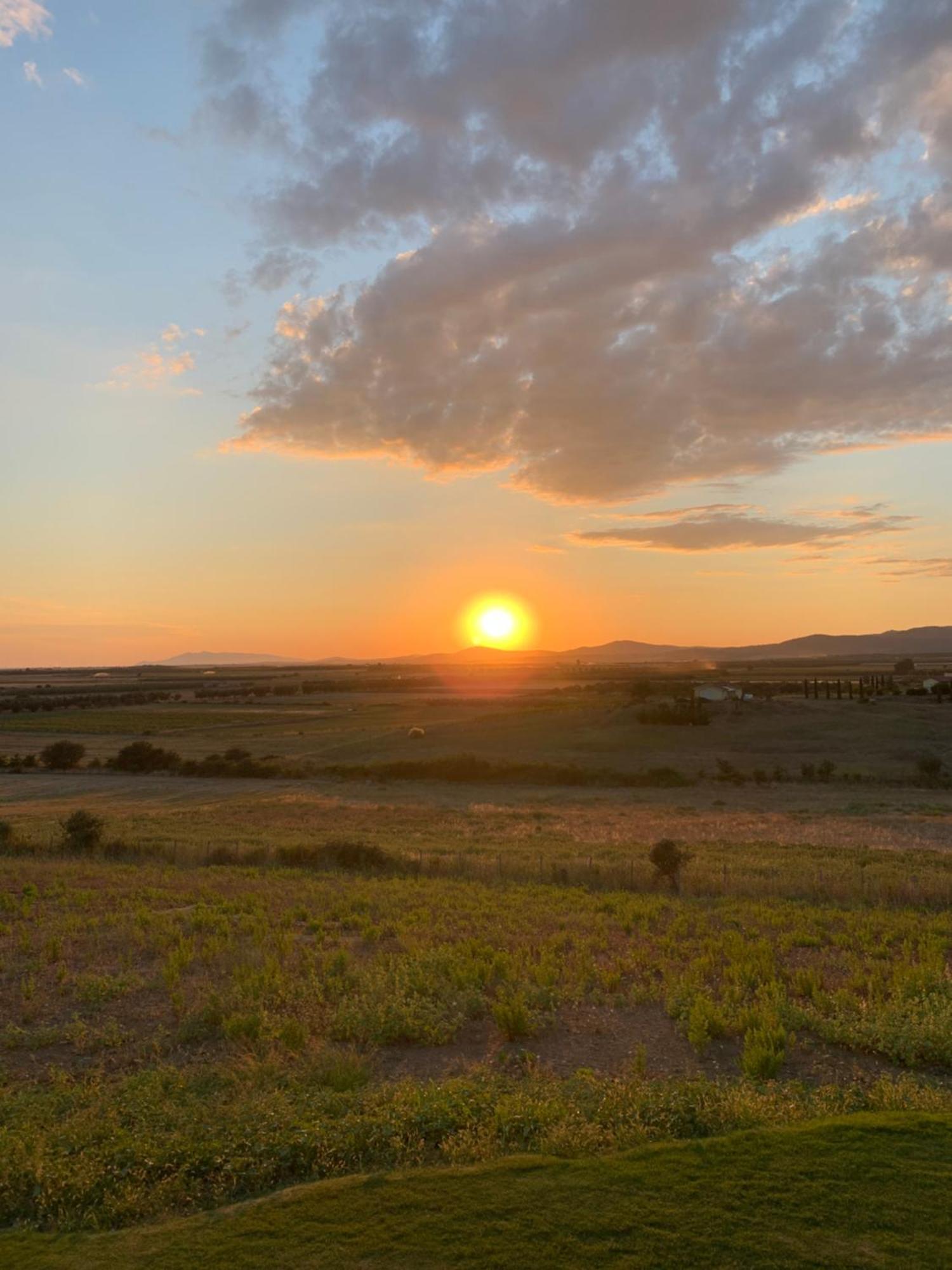 Il Poggio Di Musignano Villa Musignano  Dış mekan fotoğraf