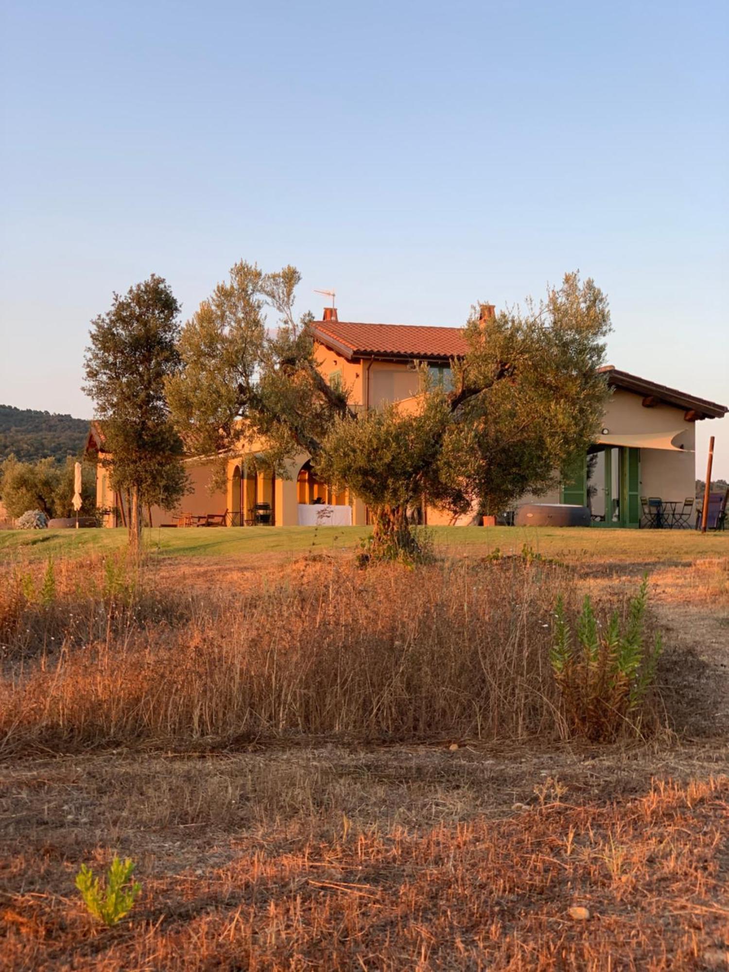 Il Poggio Di Musignano Villa Musignano  Dış mekan fotoğraf